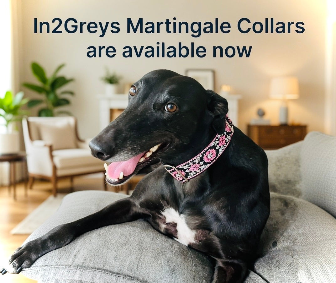 Greyhound Products