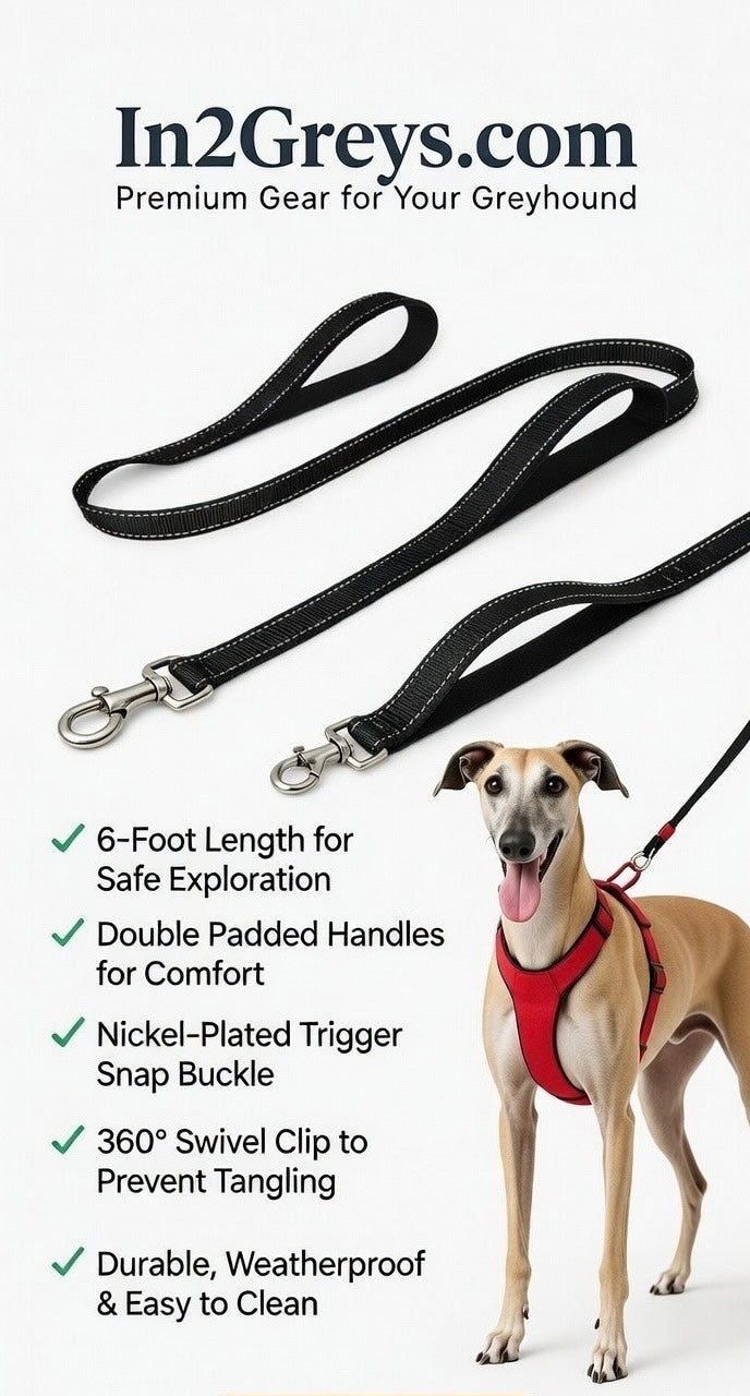 In2Greys Performance Control Leash