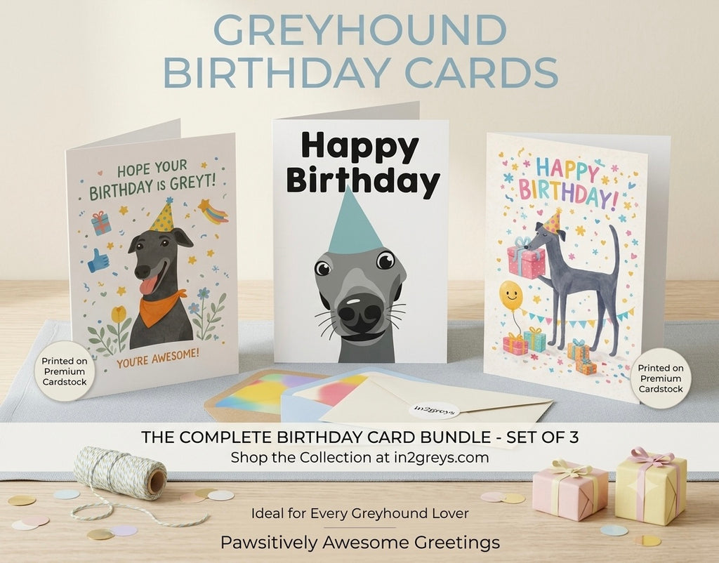 Greyhound Birthday Card Bundle – Set of 3