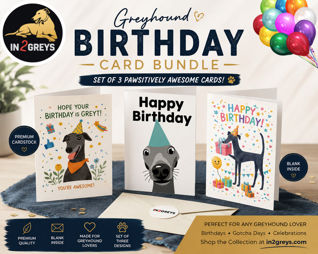 Greyhound Birthday Card Bundle – Set of 3