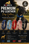 in2greys Premium PU Leather Greyhound Collar – 5 Colours