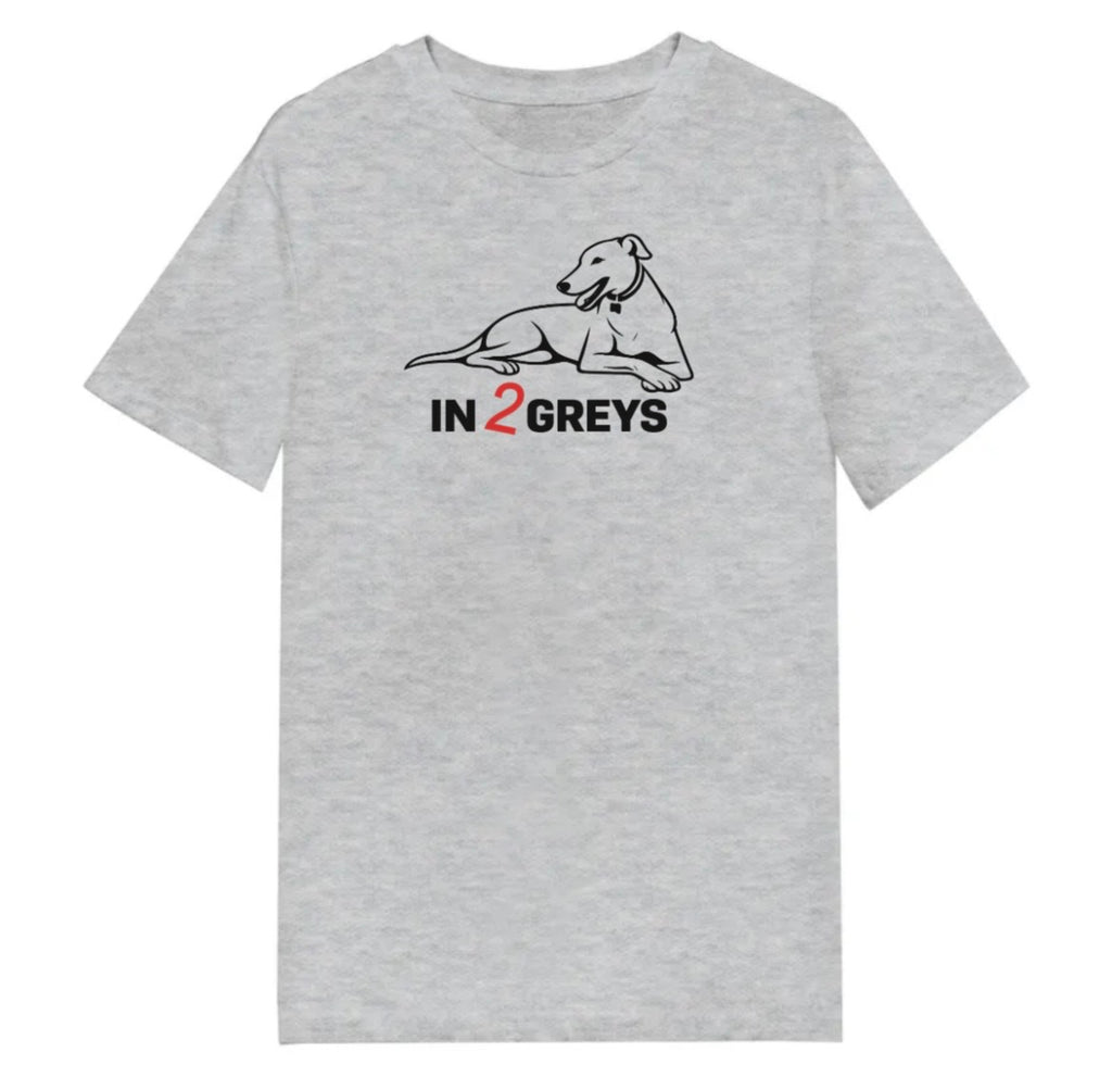 In2Greys Sports Grey T-Shirt