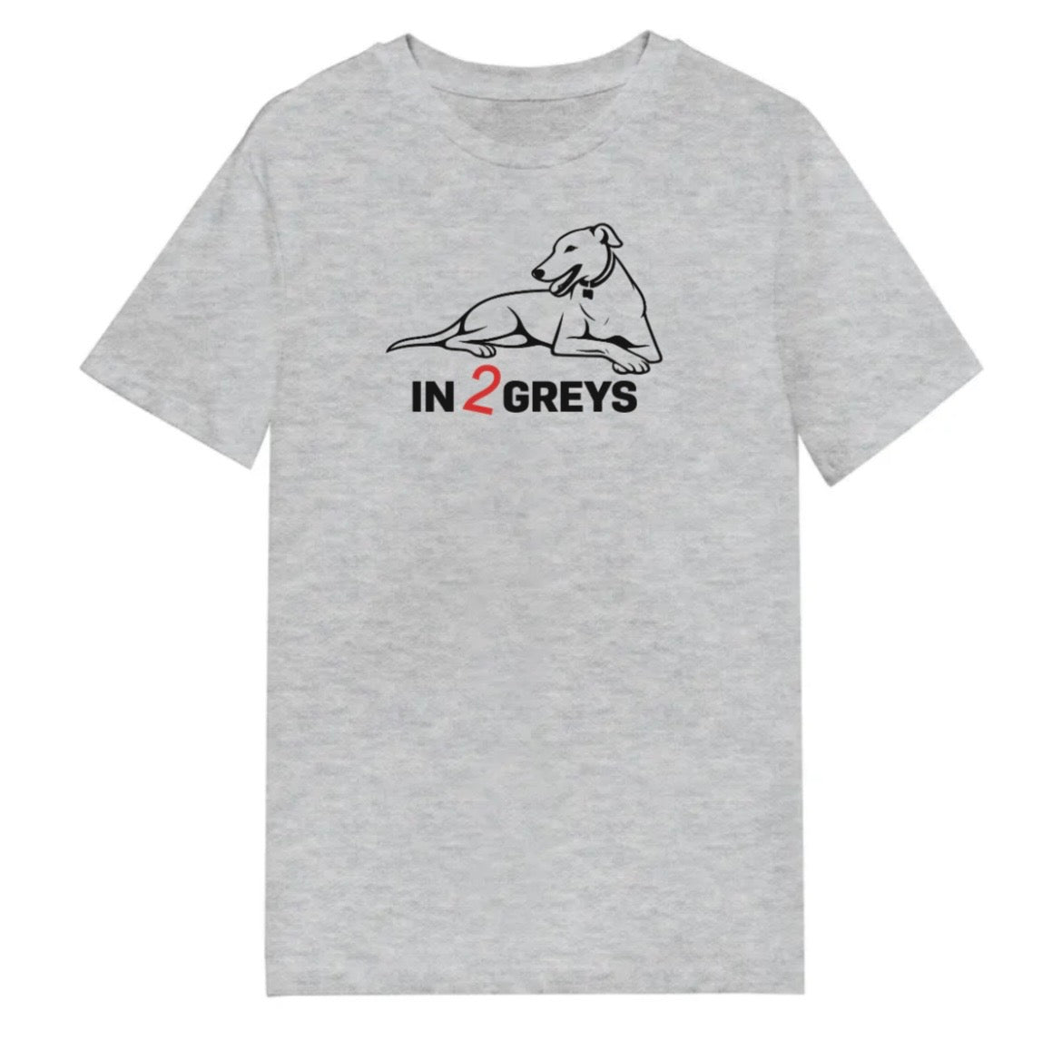 In2Greys Sports Grey T-Shirt